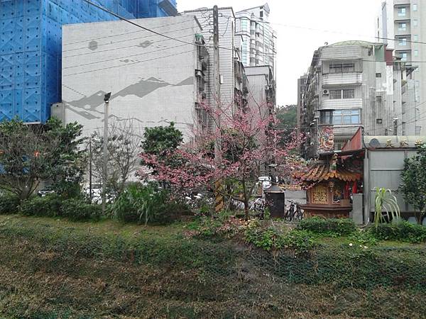 20170131_163022 20170131_163022