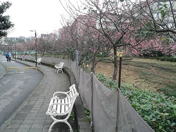 20170131_163246 20170131_163246