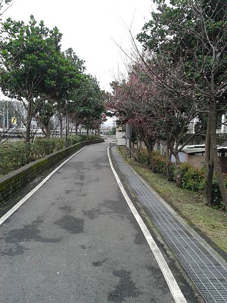 20170131_164546 20170131_164546