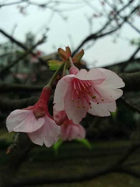 20170131_163521 20170131_163521