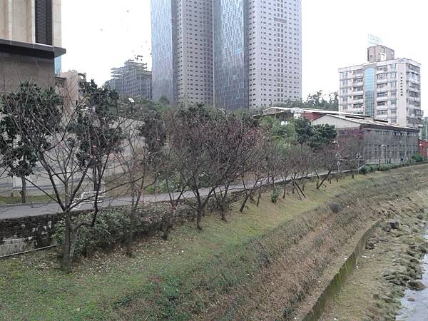 20170131_164149 20170131_164149