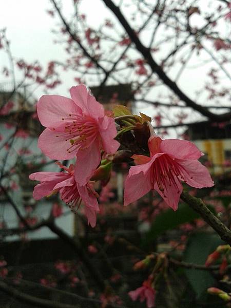 20170131_163309 20170131_163309