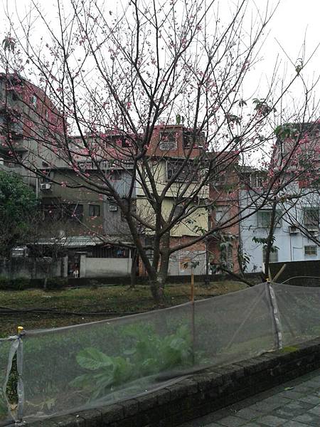 20170131_163433 20170131_163433