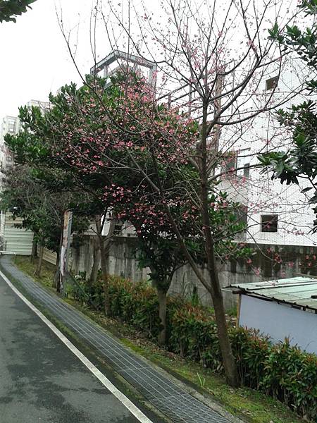 20170131_164607 20170131_164607