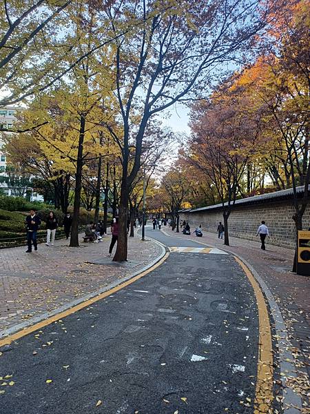 [韓國]市廳站~德壽宮石牆路&貞洞路(2024/11/11)