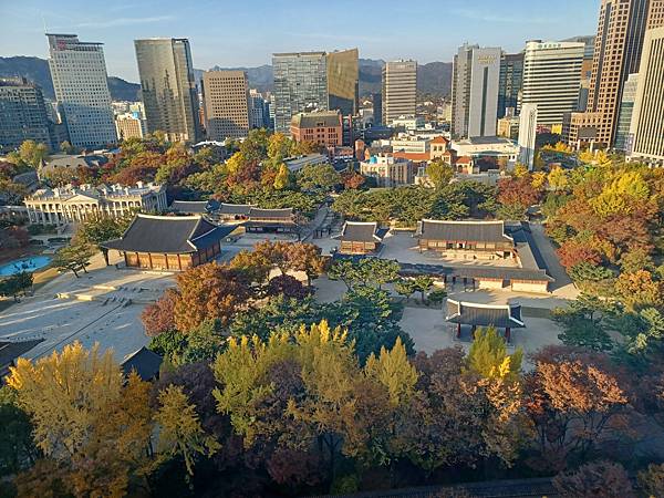 [韓國]市廳站~貞洞展望臺~俯瞰德壽宮美景的好去處(2024