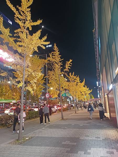 [韓國]弘大路口站~地鐵出口站附近秋天街景(2024/11/