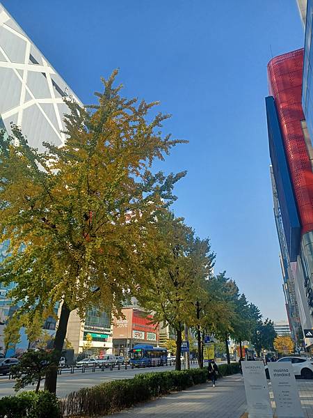 [韓國]弘大路口站~地鐵出口站附近秋天街景(2024/11/