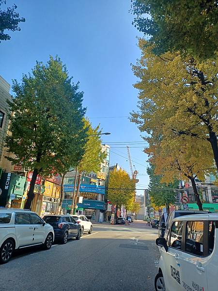 [韓國]弘大路口站~地鐵出口站附近秋天街景(2024/11/