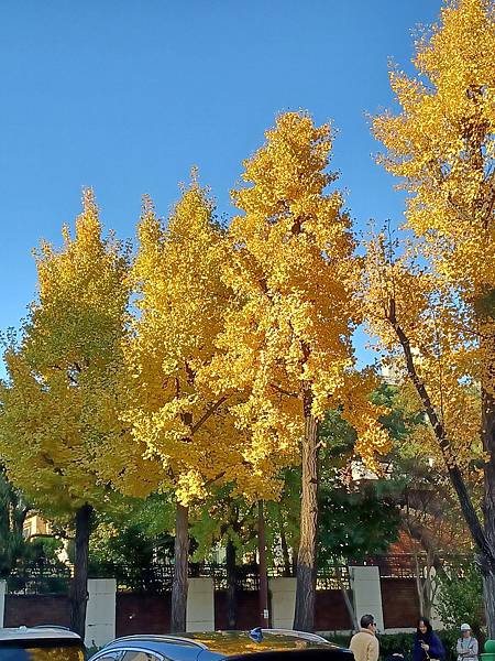 [韓國]延禧洞街景