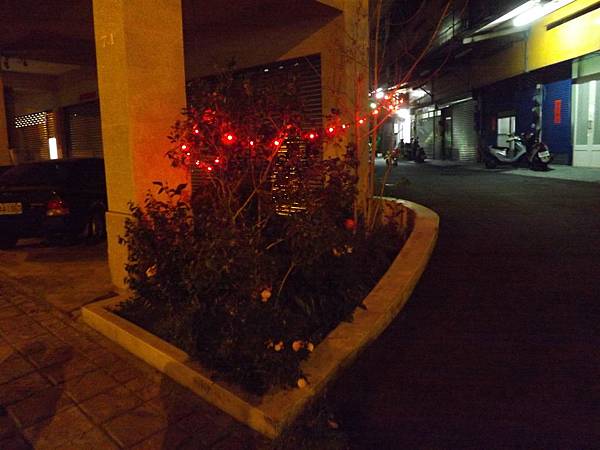 DSCF7478 DSCF7478