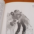 P1180043.JPG