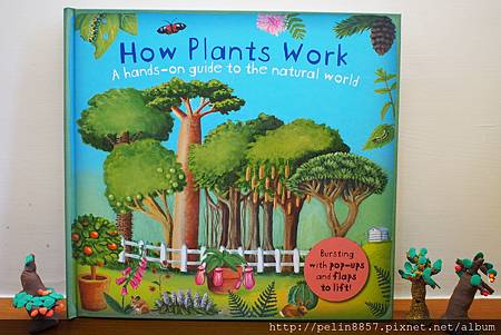 How Plants Work 英文立體自然科普繪本試閱分享 鈞 妞生活點滴 痞客邦 How Plants Work 英文立體自然科普繪本試閱分享 鈞 妞生活點滴 痞客邦