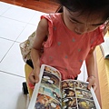 IMG_8453.JPG
