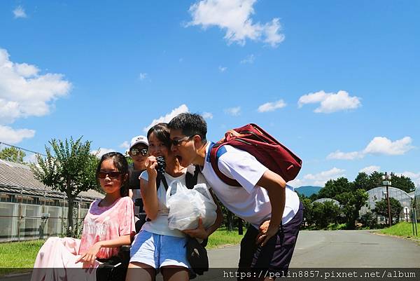 IMG_1323 採水果.JPG