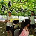 IMG_1312.JPG