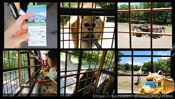 富士野生動物園巴士.jpg