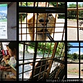 富士野生動物園巴士.jpg
