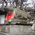 京都天滿宮的聖牛