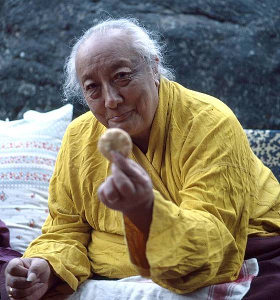 依怙主頂果欽哲法王於1991年9月28日在不丹廷布醫院圓寂之處.jpg 依怙主頂果欽哲法王於1991年9月28日在不丹廷布醫院圓寂之處.jpg