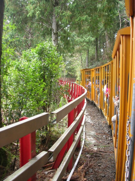 沿路風景