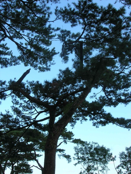 花蓮松園別館