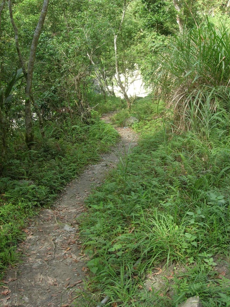 慕谷慕魚步道