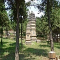 534 塔林_這是在少林寺修行有功的佛主的塔位，道行最高的是七層樓.jpg