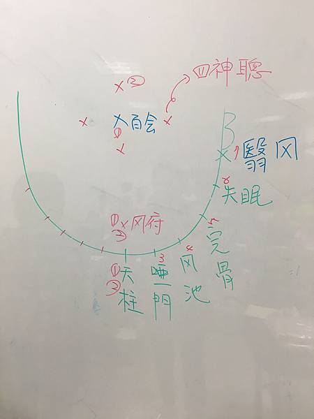 彭小芸老師-經絡刮莎_2098.jpg