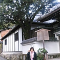 2016  1129～1139金銀閣寺 _6330.jpg