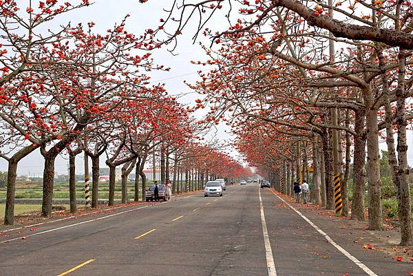 1426943473-2448094568.jpg 1426943473-2448094568.jpg