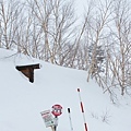 24 巴士站牌應該有一半在雪裡