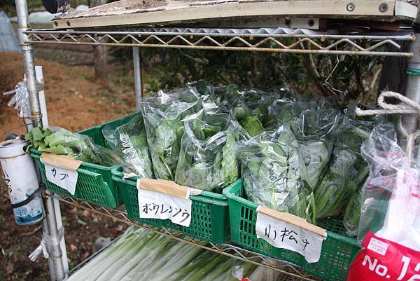 27 發現了傳說中的無人販賣所 不少登山客捧場 而我一心只想泡溫泉 慰勞今天的辛苦 ^^.JPG