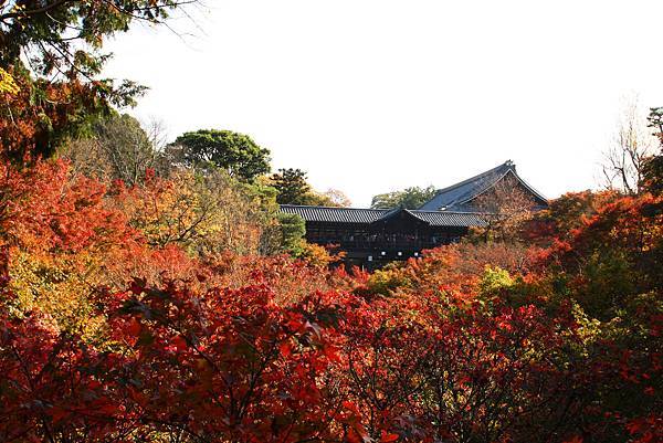 D2 東福寺01.JPG