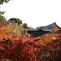 D2 東福寺01.JPG