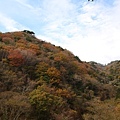 D3 六甲山07.JPG