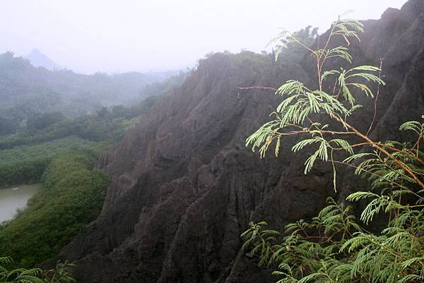 金山社區