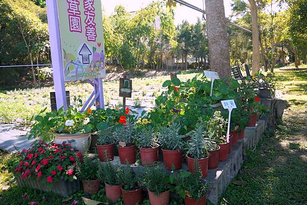 甲仙陳家香草園