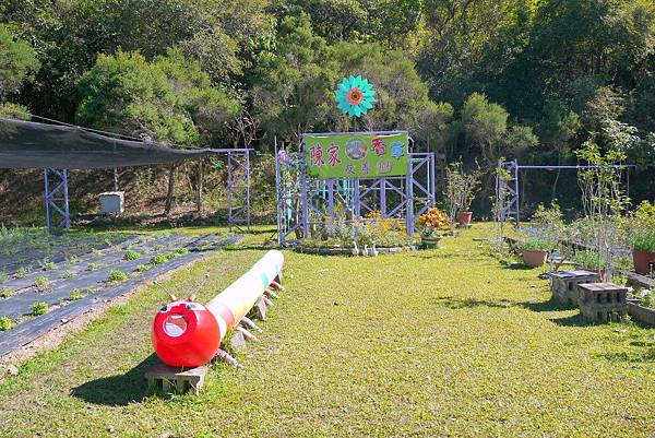 甲仙陳家香草園