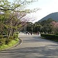 20070223陽明山花季 001.jpg