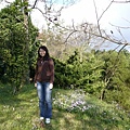 20070223陽明山花季 012.jpg