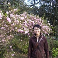 20070223陽明山花季 015.jpg