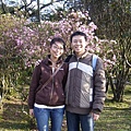 20070223陽明山花季 017.jpg