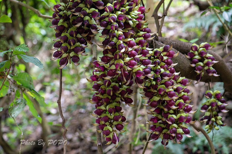 IMG_0669.jpg IMG_0669.jpg