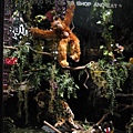 4-Rainforest Cafe