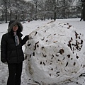 27-Snow Ball