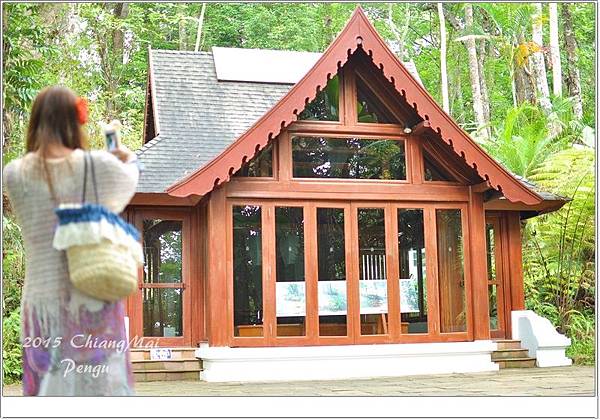 DSC_0810.JPG DSC_0810.JPG