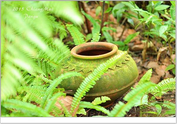 DSC_0811.JPG DSC_0811.JPG