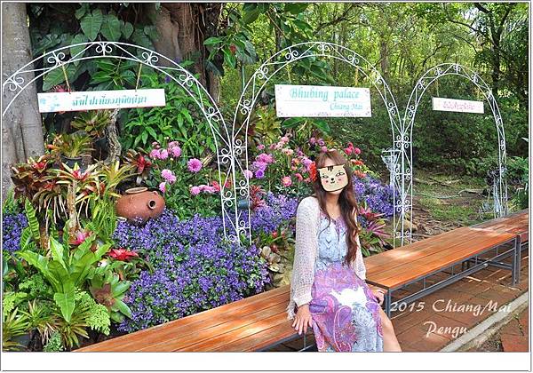 DSC_0872.JPG DSC_0872.JPG