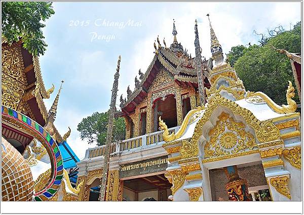 DSC_0951.JPG DSC_0951.JPG